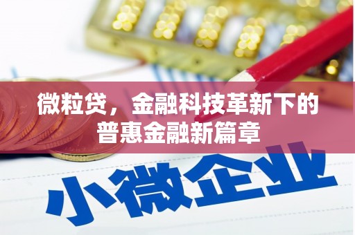 水富微粒贷，金融科技革新下的普惠金融新篇章