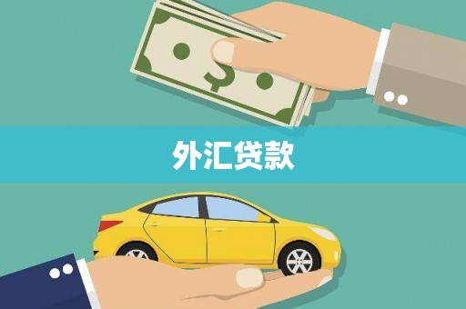 水富外汇贷款