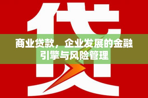 水富商业贷款，企业发展的金融引擎与风险管理