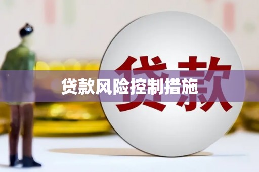 水富贷款风险控制措施