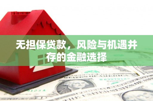 水富无担保贷款，风险与机遇并存的金融选择