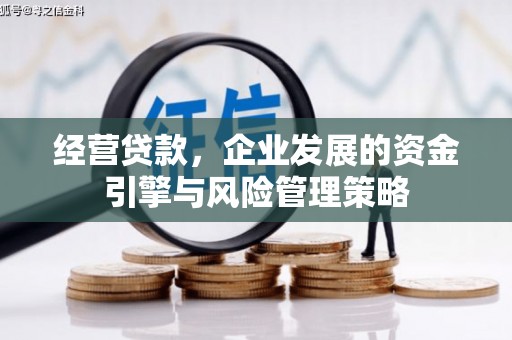 水富经营贷款，企业发展的资金引擎与风险管理策略