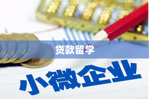 水富贷款留学