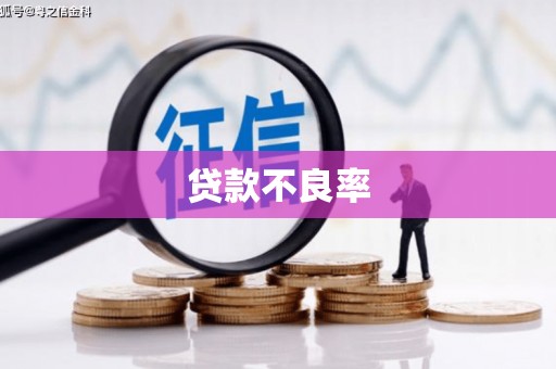 水富贷款不良率