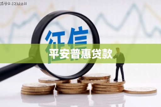 水富平安普惠贷款