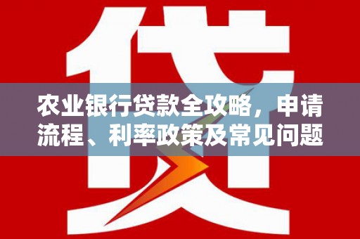 水富农业银行贷款全攻略，申请流程、利率政策及常见问题解析