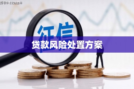 水富贷款风险处置方案
