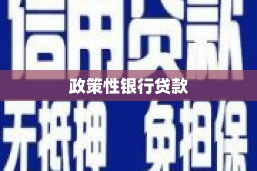 水富政策性银行贷款
