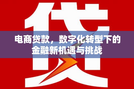 水富电商贷款，数字化转型下的金融新机遇与挑战