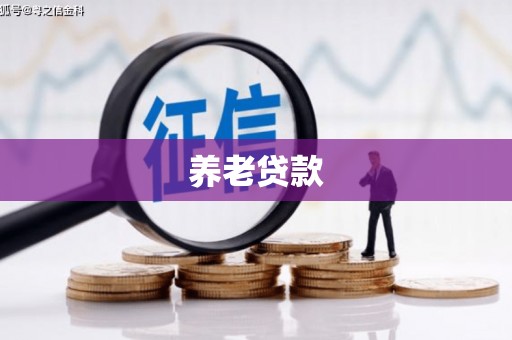 水富养老贷款