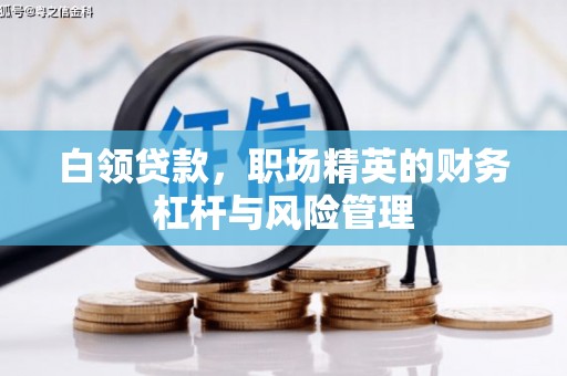 水富白领贷款，职场精英的财务杠杆与风险管理