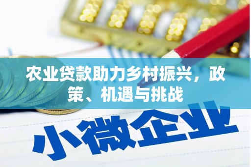 水富农业贷款助力乡村振兴，政策、机遇与挑战