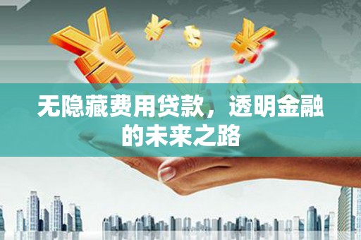 水富无隐藏费用贷款，透明金融的未来之路