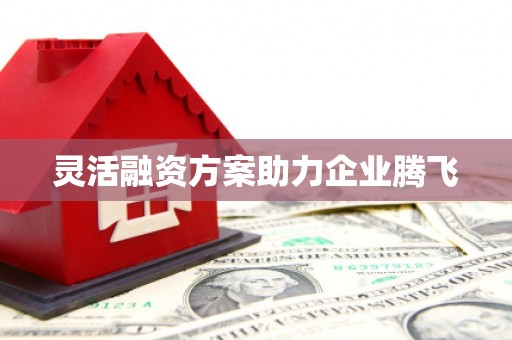水富灵活融资方案助力企业腾飞