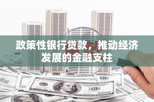 水富政策性银行贷款，推动经济发展的金融支柱