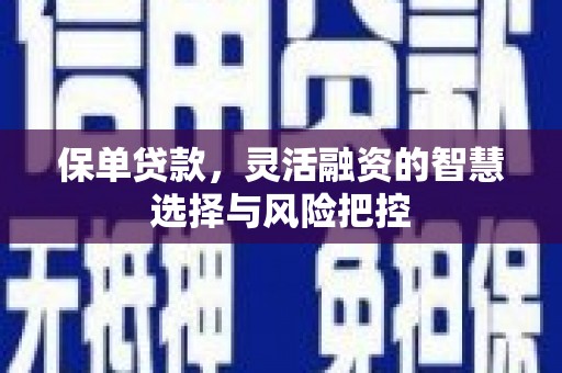 水富保单贷款，灵活融资的智慧选择与风险把控
