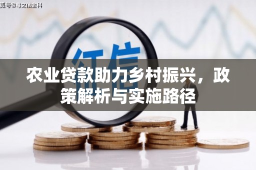 水富农业贷款助力乡村振兴，政策解析与实施路径