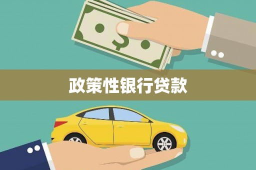 水富政策性银行贷款
