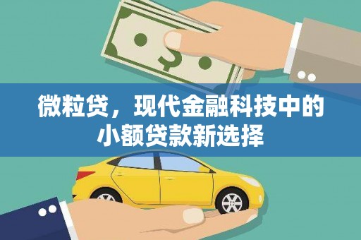 水富微粒贷，现代金融科技中的小额贷款新选择