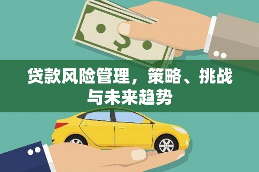 水富贷款风险管理，策略、挑战与未来趋势
