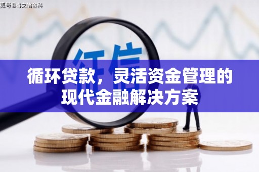 水富循环贷款，灵活资金管理的现代金融解决方案