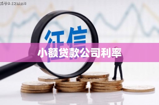 水富小额贷款公司利率