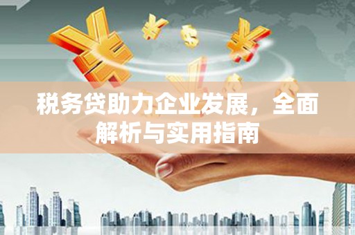 水富税务贷助力企业发展，全面解析与实用指南