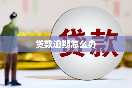 水富贷款逾期怎么办