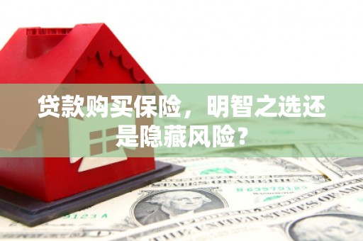 水富贷款购买保险，明智之选还是隐藏风险？