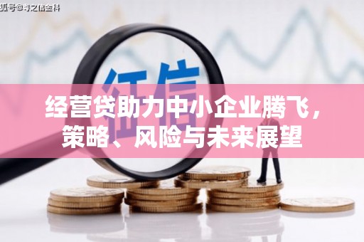 水富经营贷助力中小企业腾飞，策略、风险与未来展望