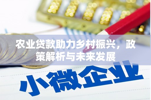 水富农业贷款助力乡村振兴，政策解析与未来发展