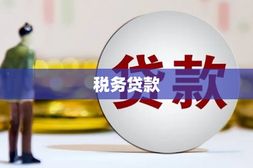 水富税务贷款