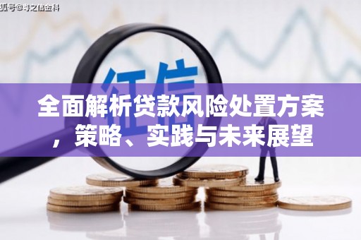 水富全面解析贷款风险处置方案，策略、实践与未来展望