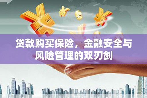 水富贷款购买保险，金融安全与风险管理的双刃剑