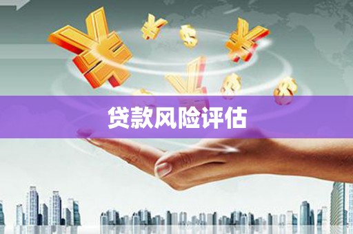 水富贷款风险评估