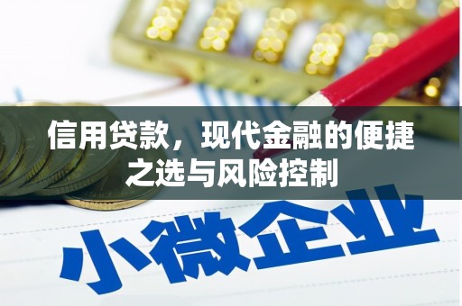 水富信用贷款，现代金融的便捷之选与风险控制