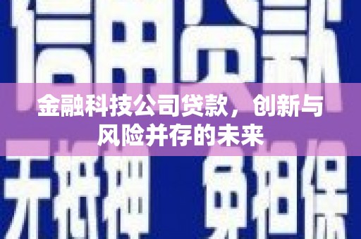 水富金融科技公司贷款，创新与风险并存的未来