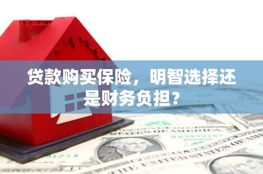 水富贷款购买保险，明智选择还是财务负担？