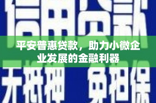 水富平安普惠贷款，助力小微企业发展的金融利器