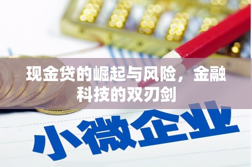 水富现金贷的崛起与风险，金融科技的双刃剑