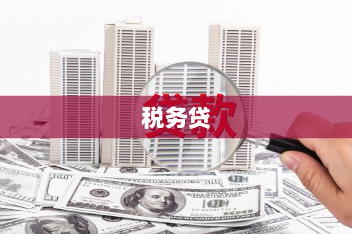 水富税务贷