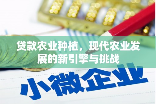 水富贷款农业种植，现代农业发展的新引擎与挑战