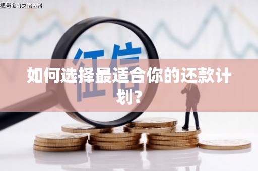 水富如何选择最适合你的还款计划？