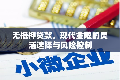 水富无抵押贷款，现代金融的灵活选择与风险控制