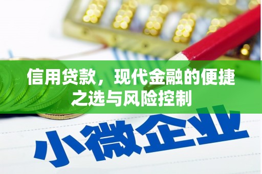 水富信用贷款，现代金融的便捷之选与风险控制