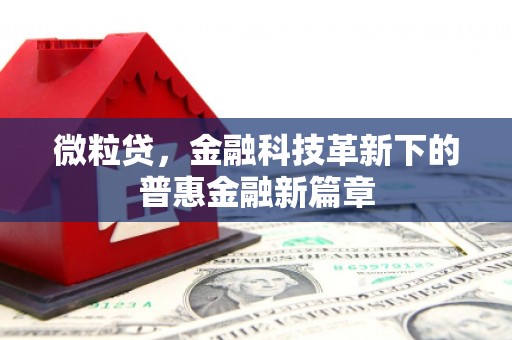 水富微粒贷，金融科技革新下的普惠金融新篇章