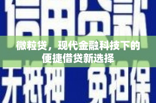 水富微粒贷，现代金融科技下的便捷借贷新选择