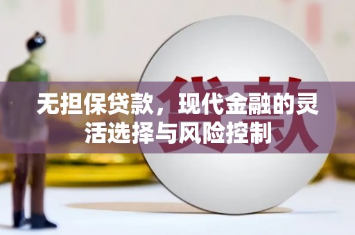 水富无担保贷款，现代金融的灵活选择与风险控制