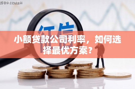 水富小额贷款公司利率，如何选择最优方案？