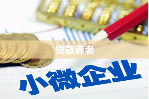 水富贷款养老